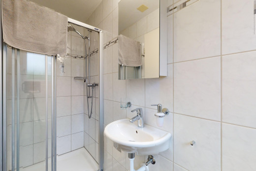 bad mit dusche, fliesenwand, und spiegel