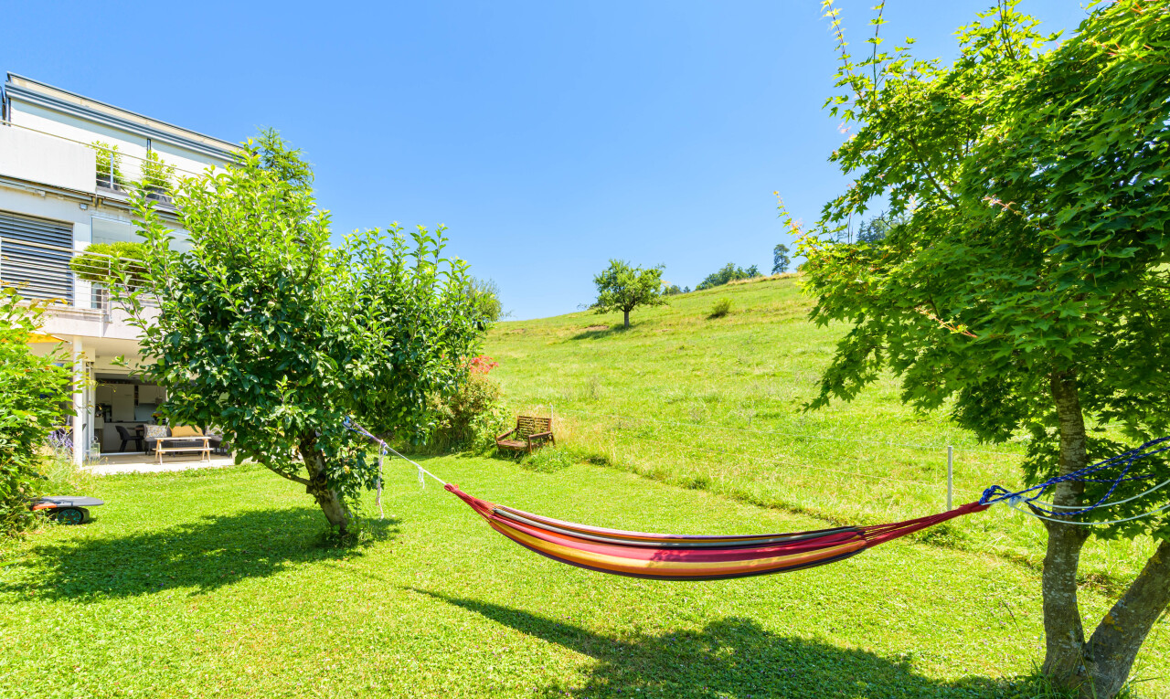 garten mit rasen und day time