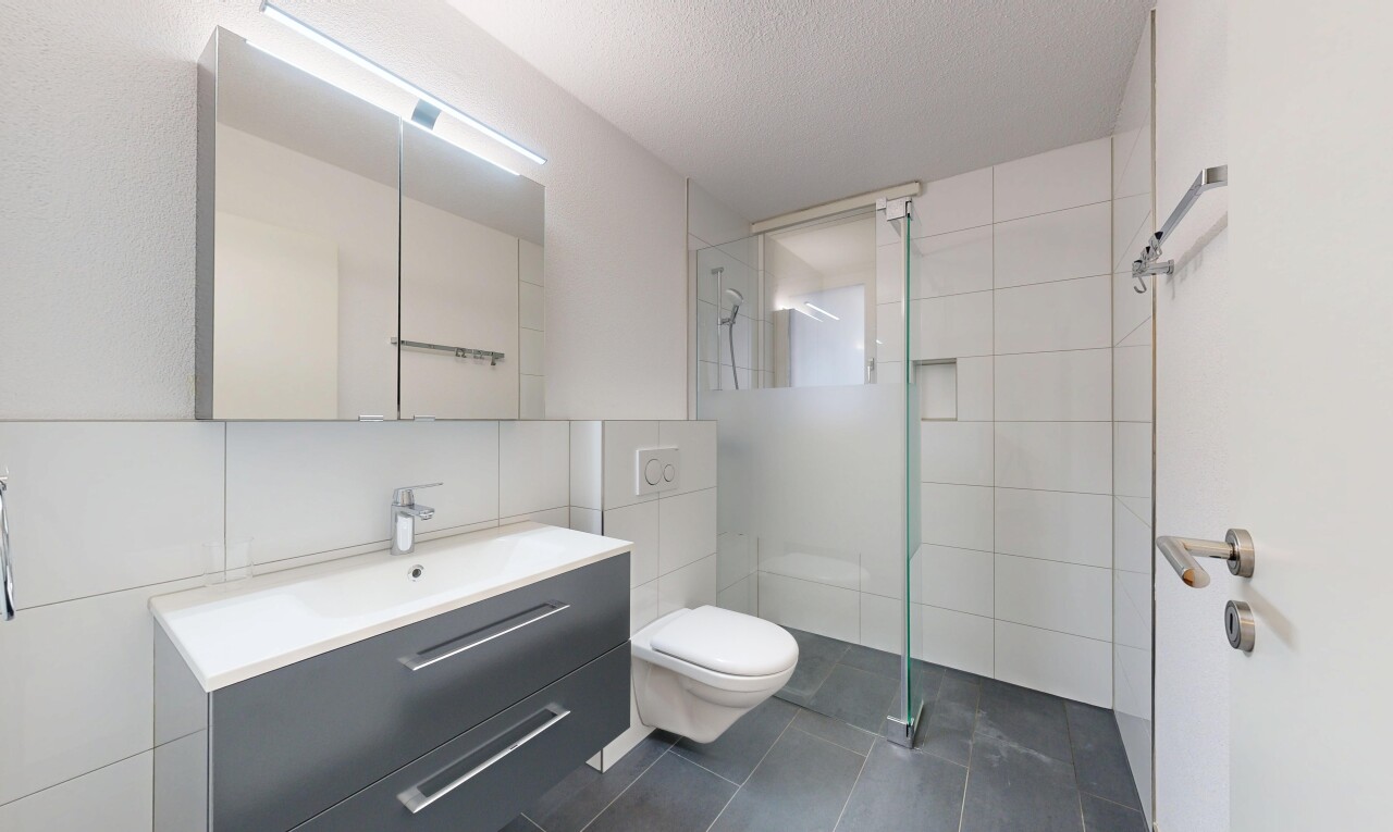 salle de bains avec salle de bain complète, lavabo (ou coiffeuse selon le contexte), douche, inside property, et miroir