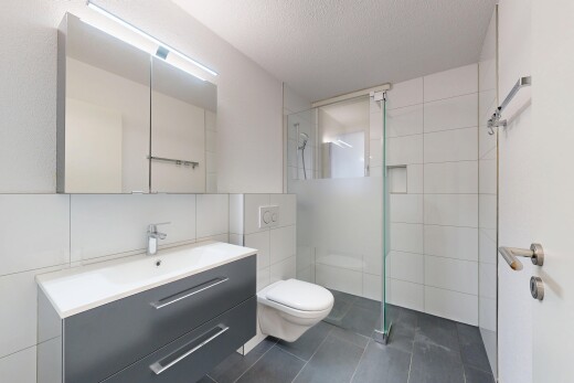 salle de bains avec salle de bain complète, lavabo (ou coiffeuse selon le contexte), douche, inside property, et miroir