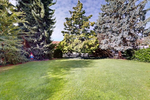 garten mit rasen und day time