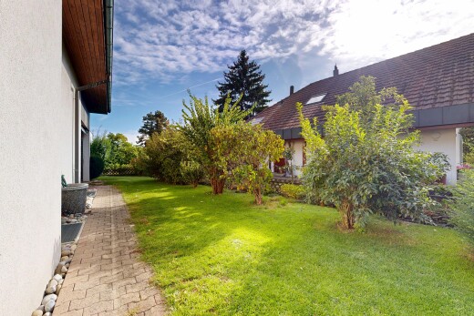 garten mit rasen und day time