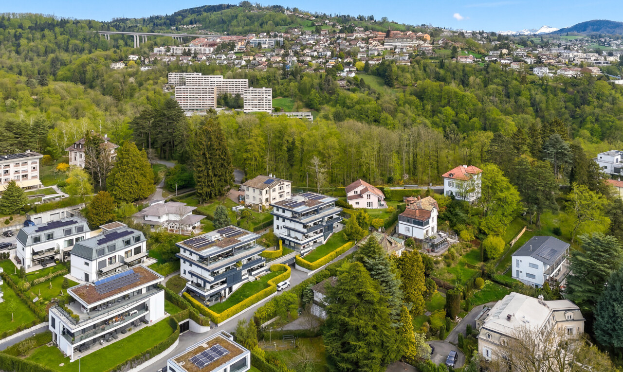 mountain view with a heavily wooded area