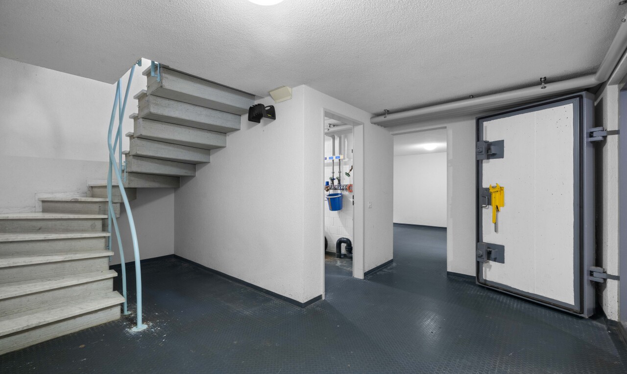 treppe mit treppen, keller, niedrige decke, low ceiling, und inside property