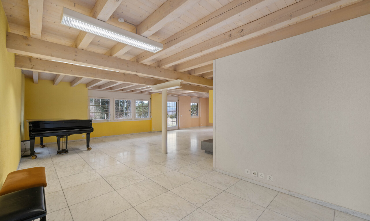 leerer raum mit natürliches licht, natural light, inside property, gipskartonwand, und drywall