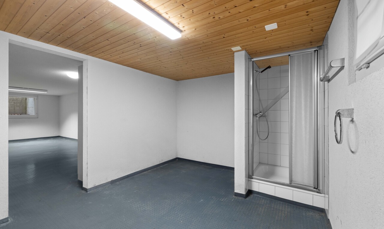 leerer raum mit keller, niedrige decke, low ceiling, inside property, und holzdecke