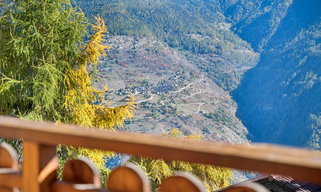 mountain view