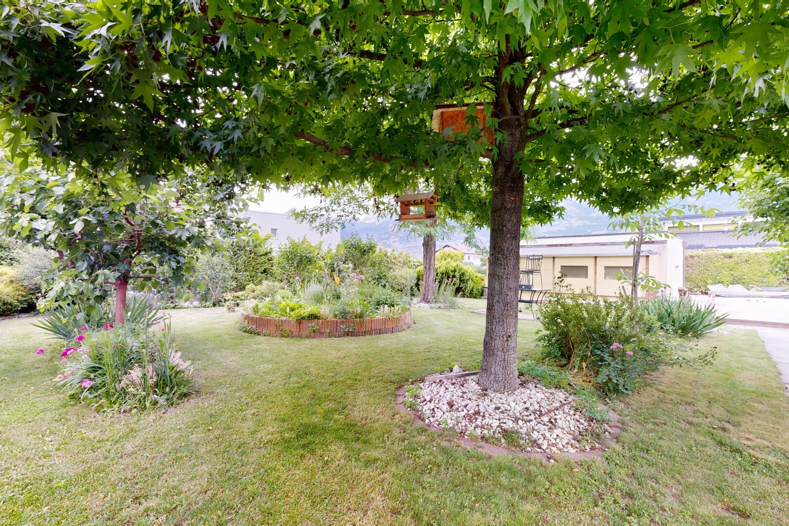 garten mit rasen