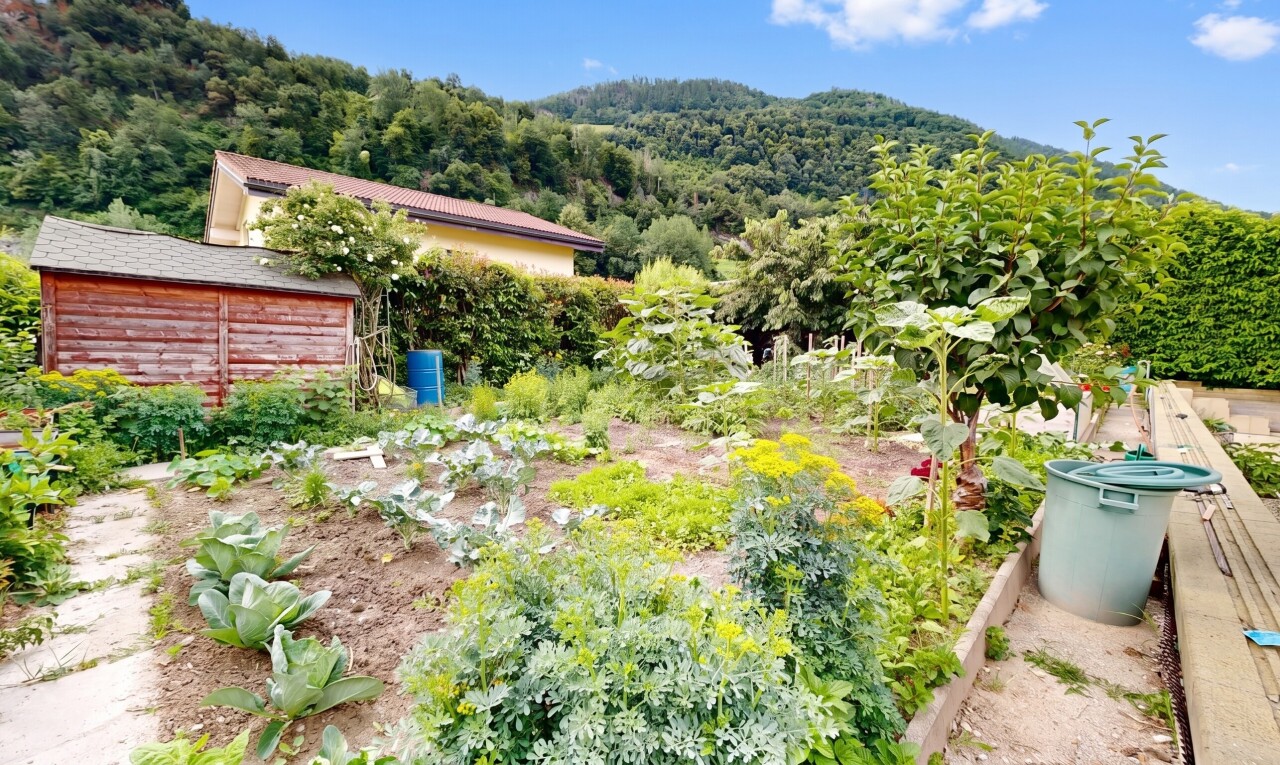 garten mit day time, from property, garten, waldblick, und forest view