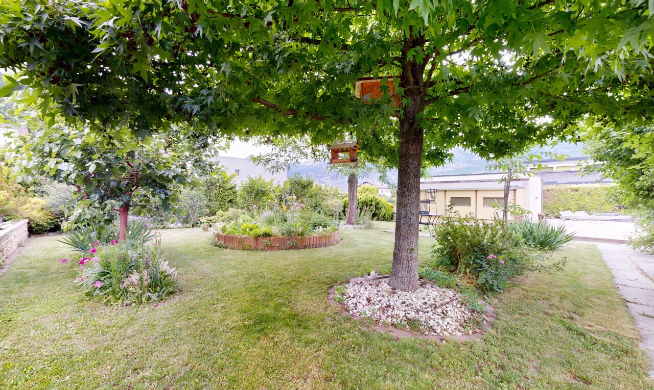 garten mit rasen