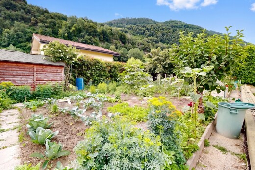 garden featuring a vegetable garden and a forest view
