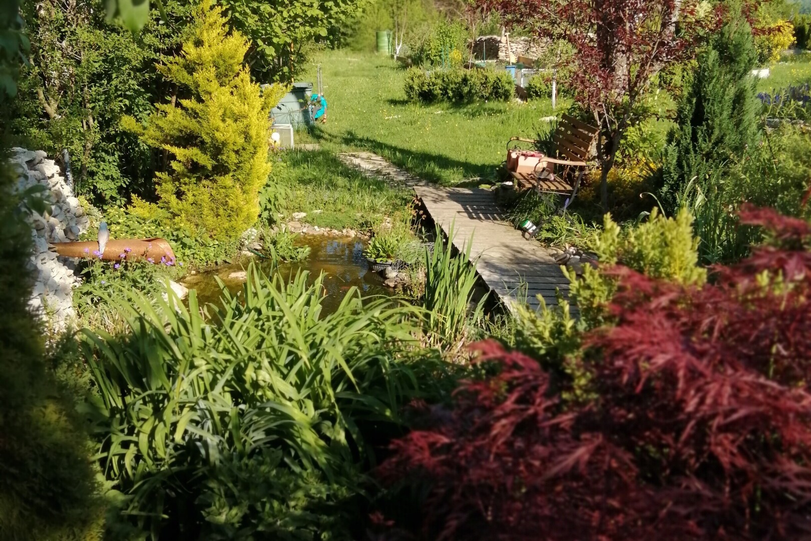 jardin avec étang de jardin et garden pond