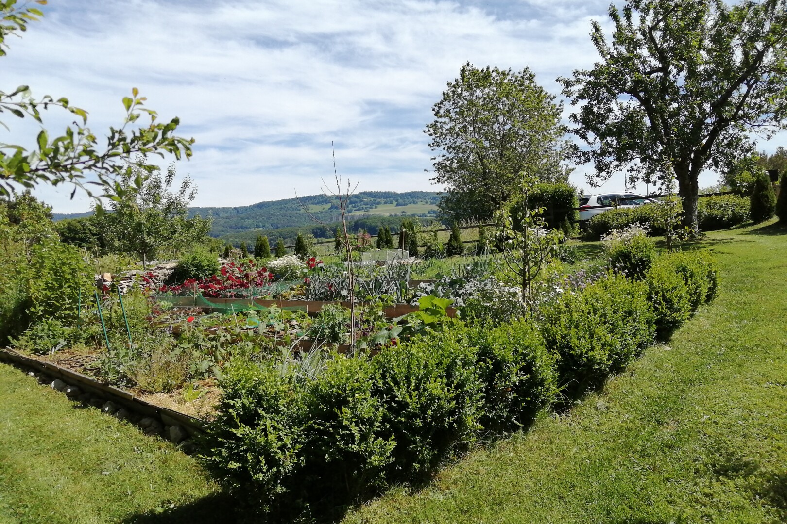 vue sur la montagne avec day time, vue rurale, et rural view