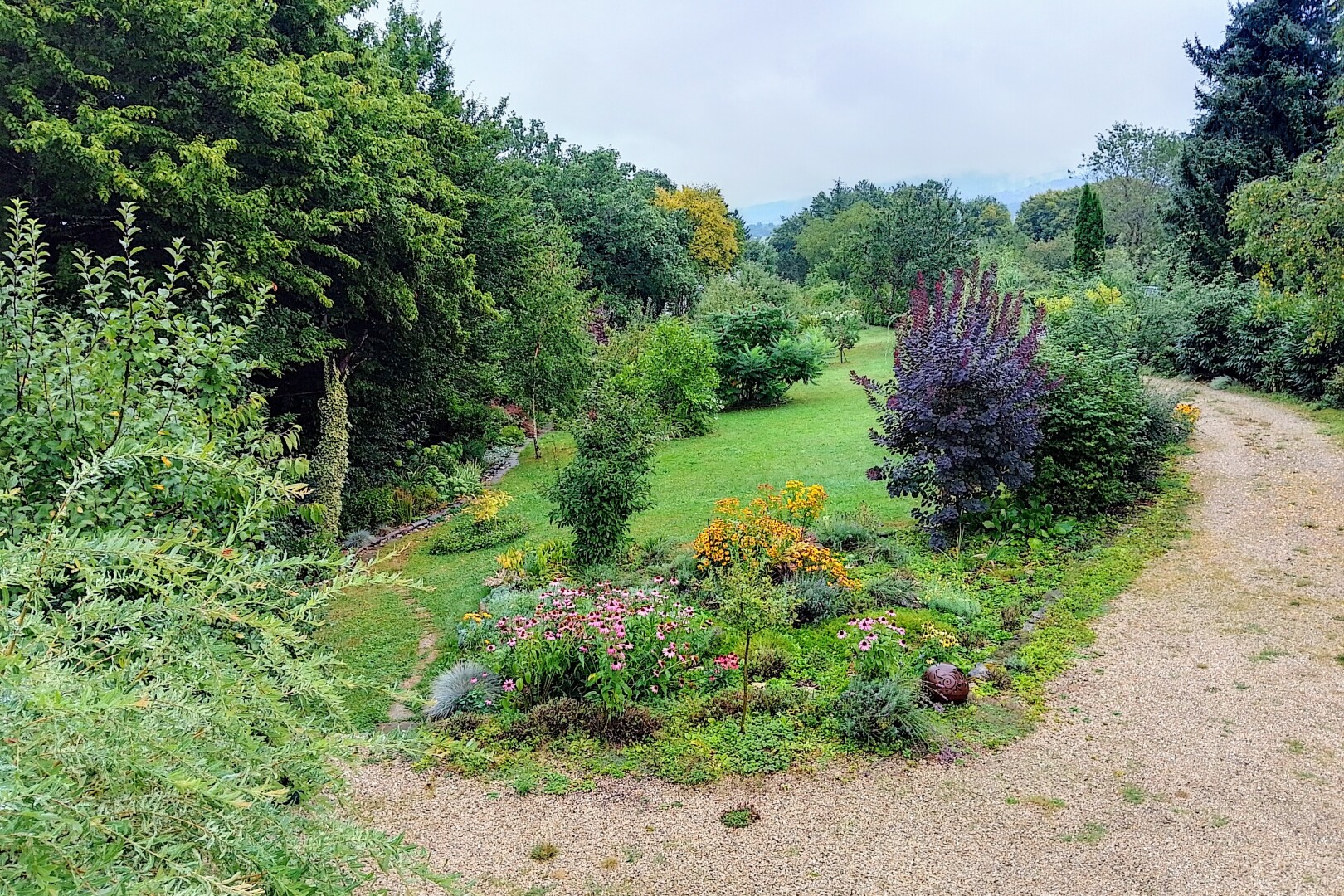 jardin avec pelouse