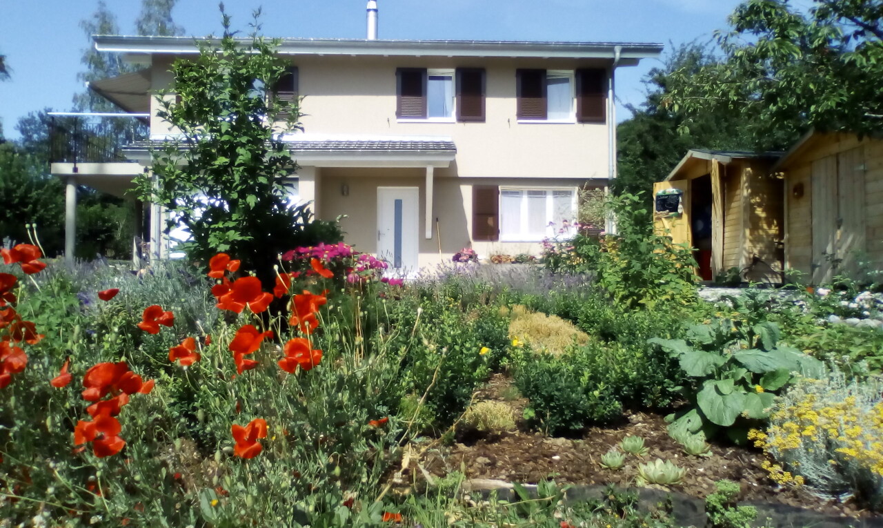 jardin avec property visible et day time