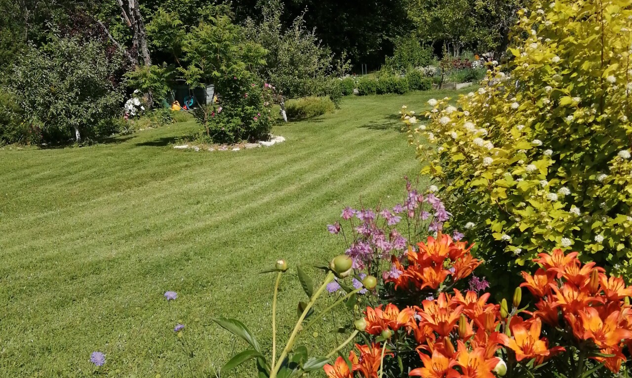 jardin avec pelouse