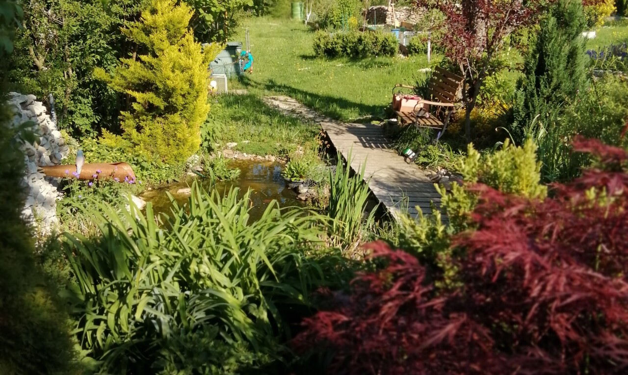 jardin avec étang de jardin et garden pond