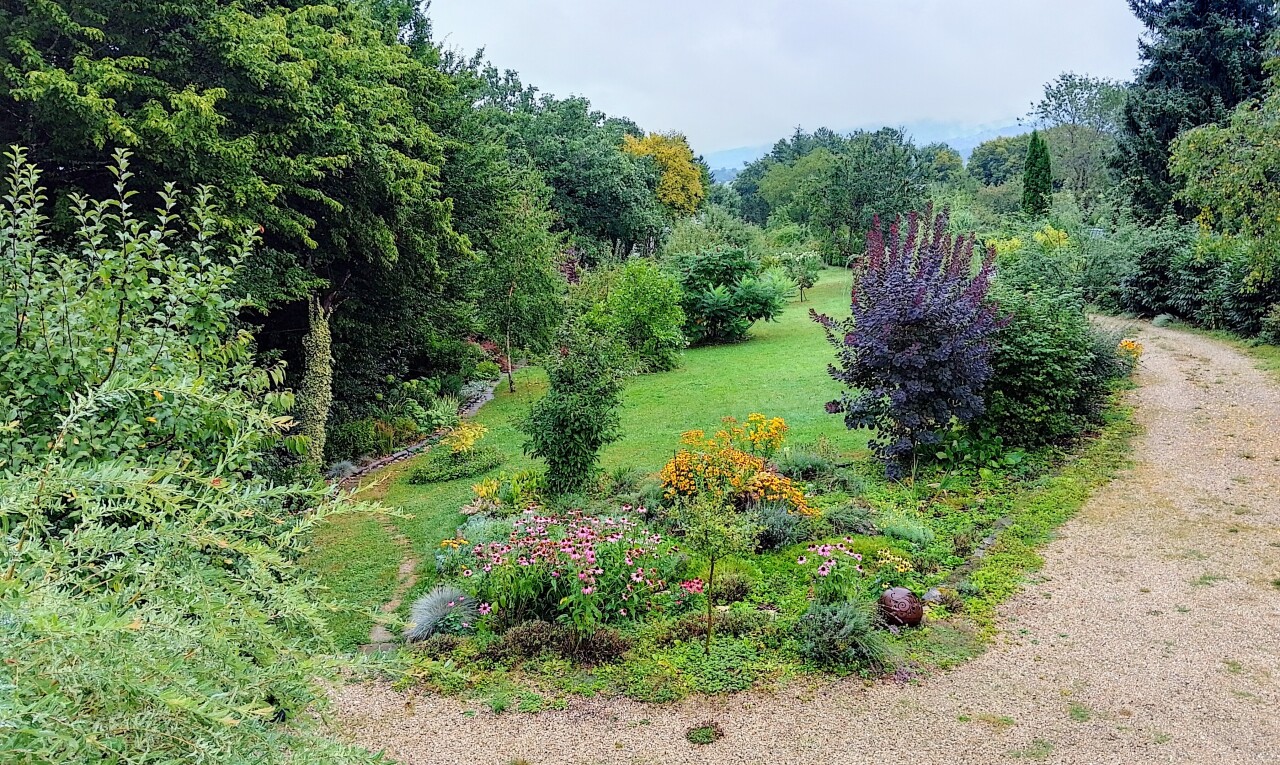 jardin avec pelouse