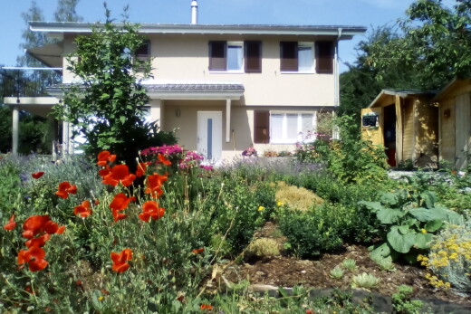 jardin avec property visible et day time