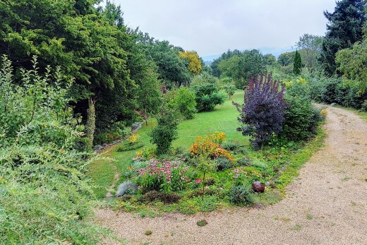 jardin avec pelouse