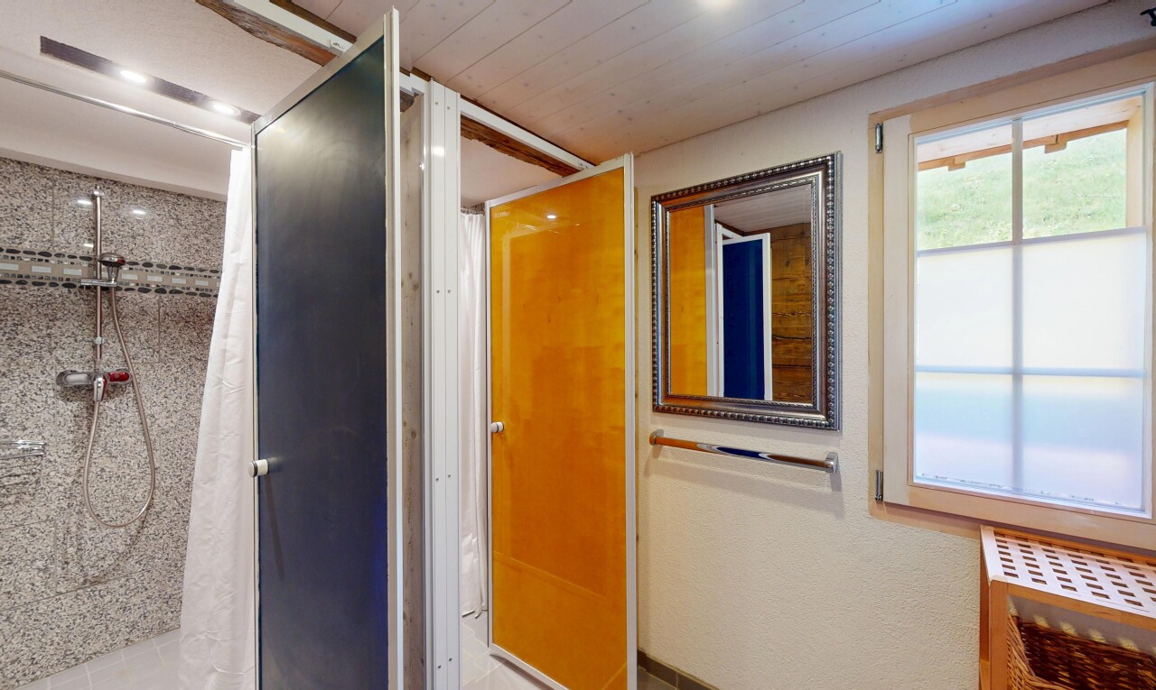 salle de bains avec douche, lumière naturelle, et salle de bain complète