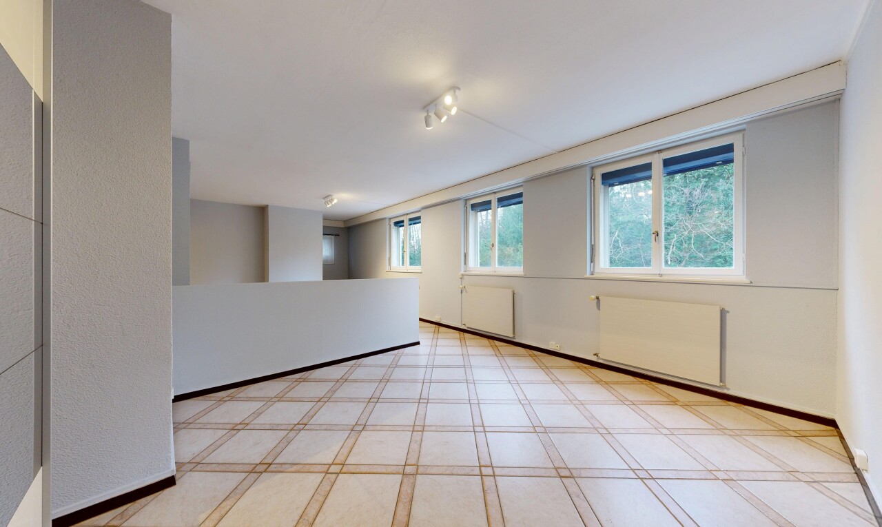 pièce vide avec inside property, natural light, lumière naturelle, light floor, et sous-sol