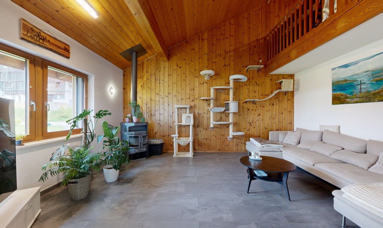 salon avec plafond à poutres, beamed ceiling, lumière naturelle, natural light, et mur en bois