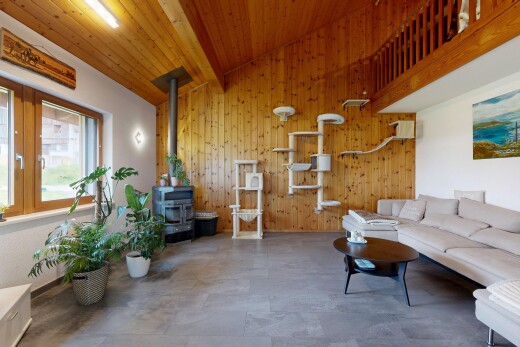 salon avec plafond à poutres, beamed ceiling, lumière naturelle, natural light, et mur en bois