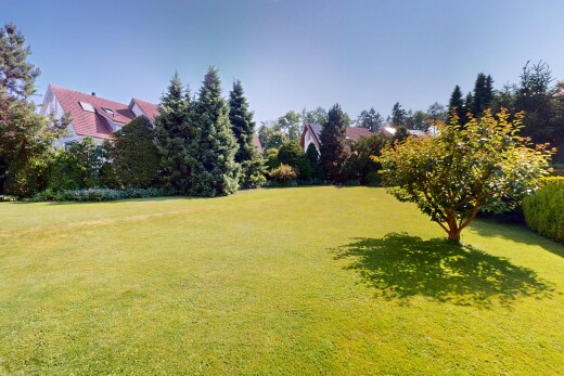 garten mit rasen und day time