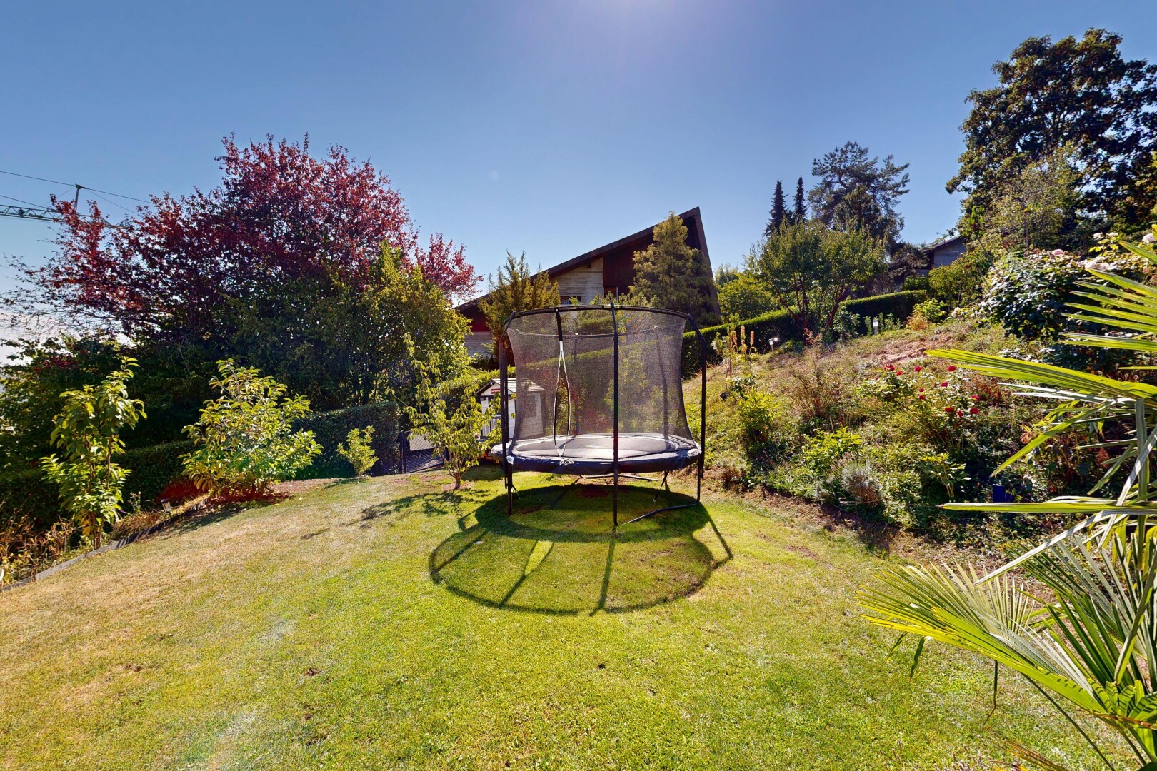 jardin avec pelouse, day time, et trampoline