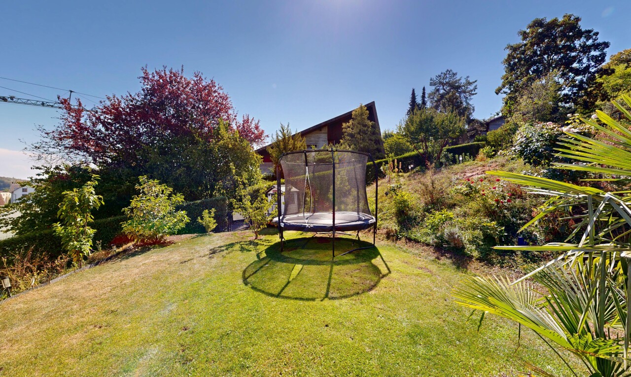 jardin avec pelouse, day time, et trampoline