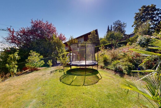 jardin avec pelouse, day time, et trampoline