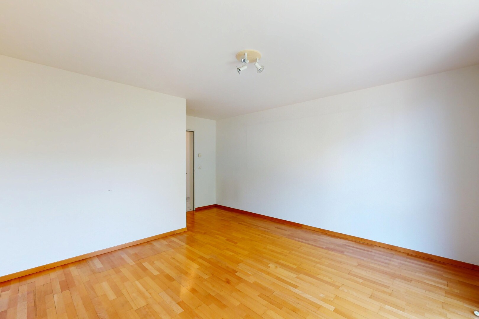 leerer raum mit wood finish floor, holzfußboden, drywall, gipskartonwand, und baseboards wall