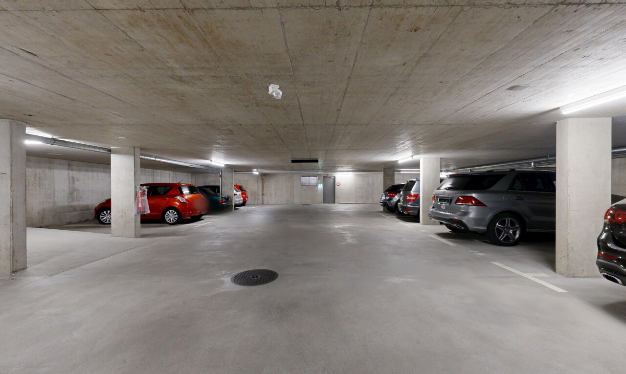 parken mit parkgarage