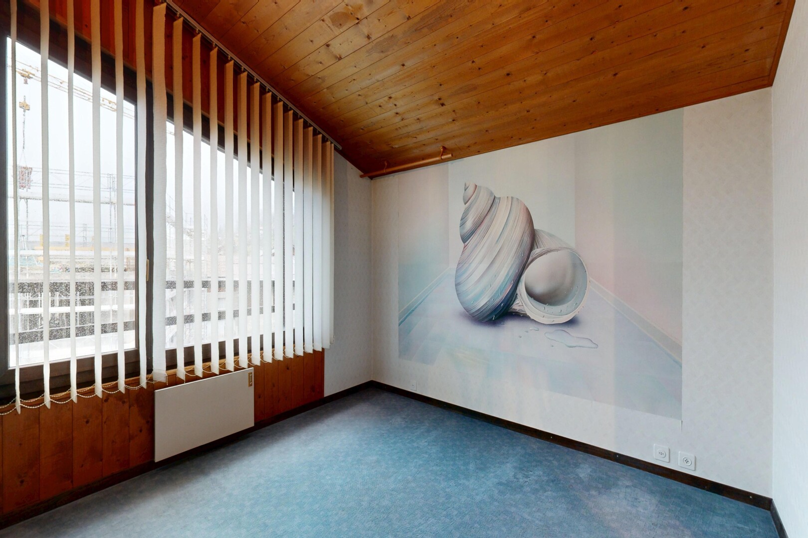 leerer raum mit holzdecke, wood ceiling, teppich, carpet, und natürliches licht