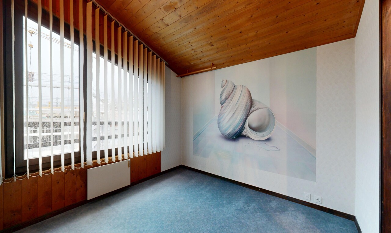 leerer raum mit holzdecke, wood ceiling, teppich, carpet, und natürliches licht