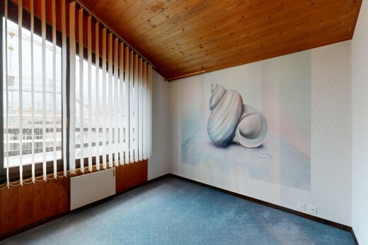 leerer raum mit holzdecke, wood ceiling, teppich, carpet, und natürliches licht