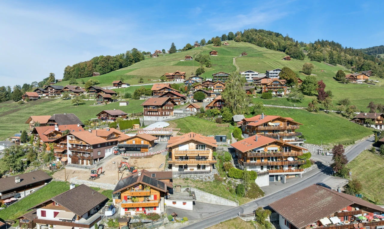 vue sur la montagne avec day time