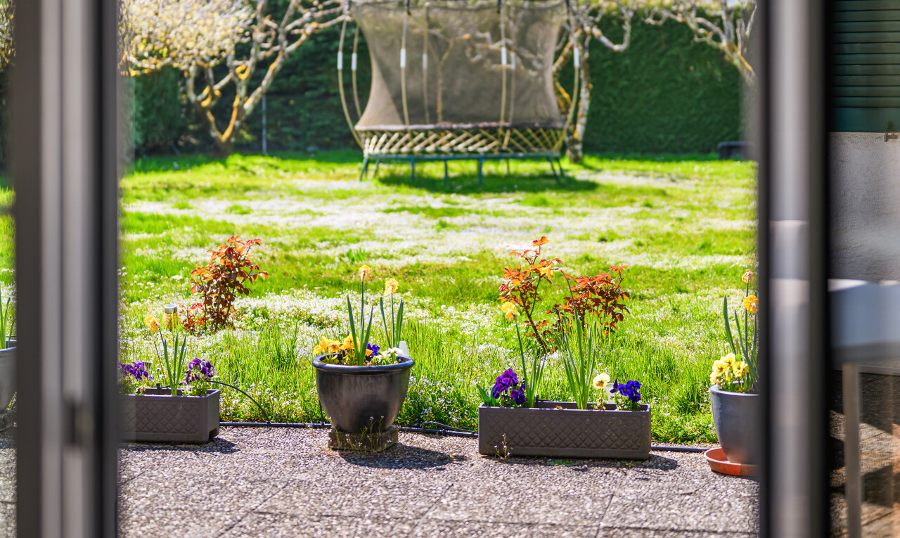 jardin avec trampoline et pelouse