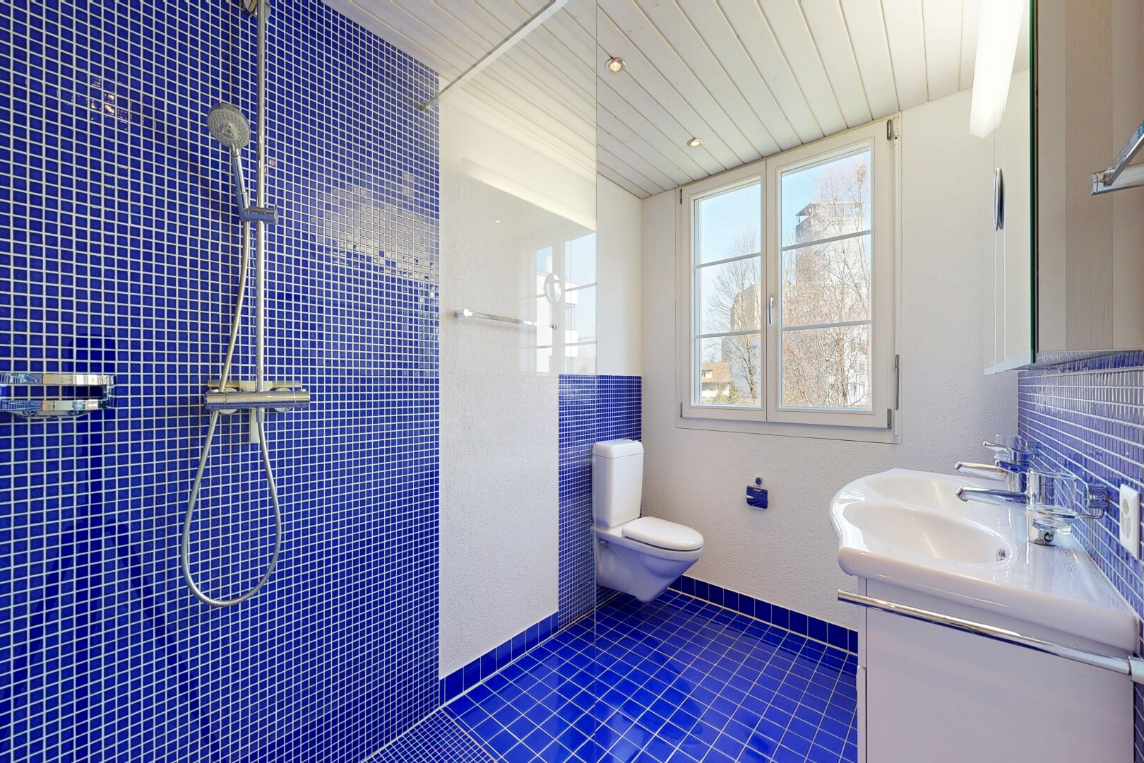 bad mit dusche, komplettes badezimmer, spiegel, schminktisch, und toilette