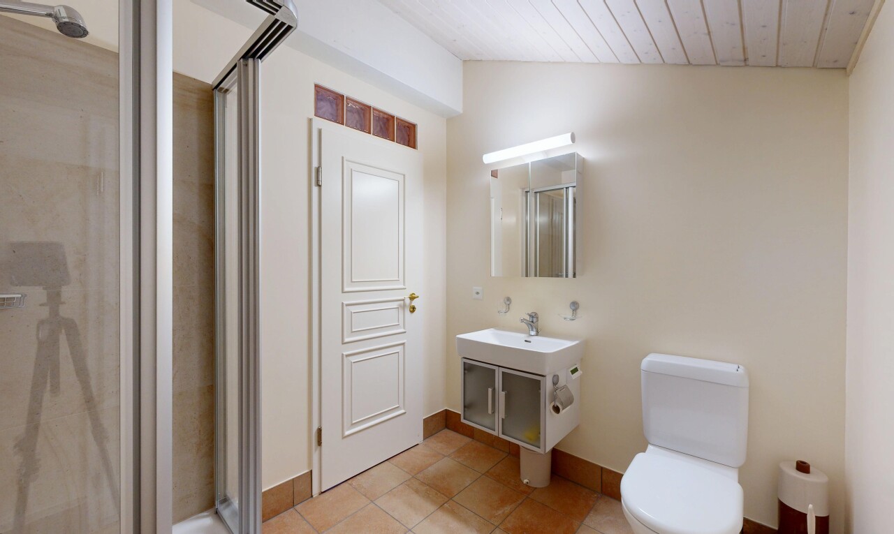 salle de bains avec miroir, cloison sèche, drywall, toilette, et douche