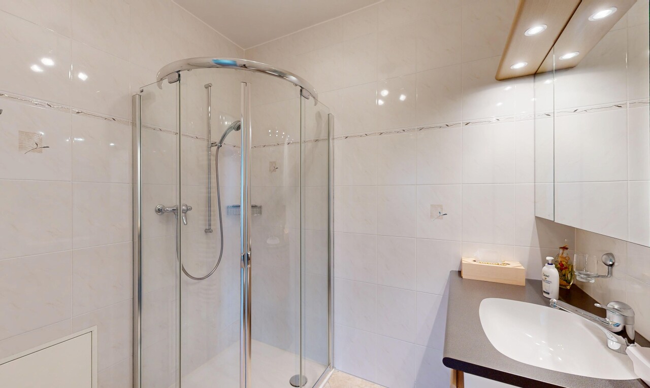 salle de bains avec miroir, salle de bain complète, évier, lavabo (ou coiffeuse selon le contexte), et douche