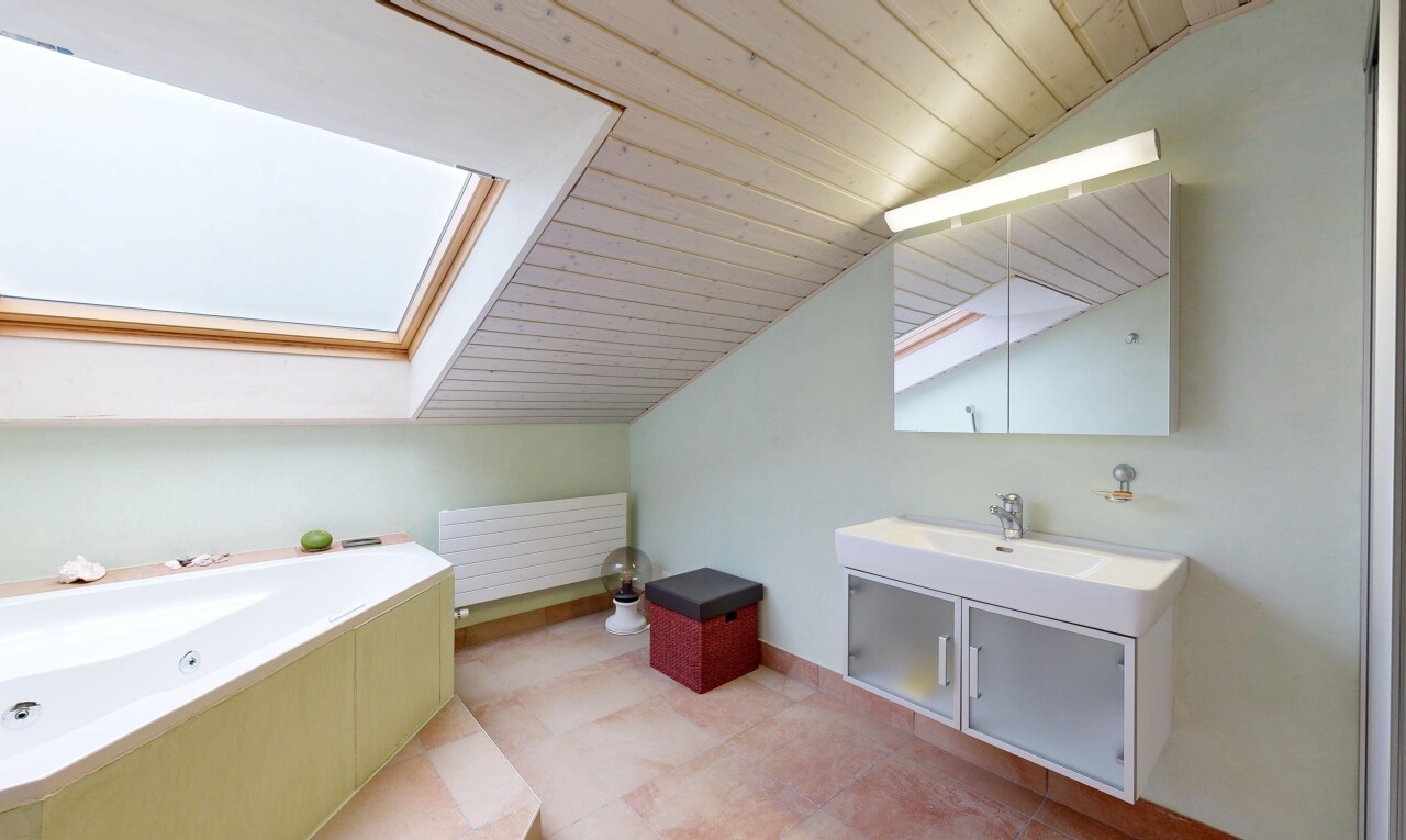 salle de bains avec puits de lumière, plafond voûté, vaulted ceiling, miroir, et inside property