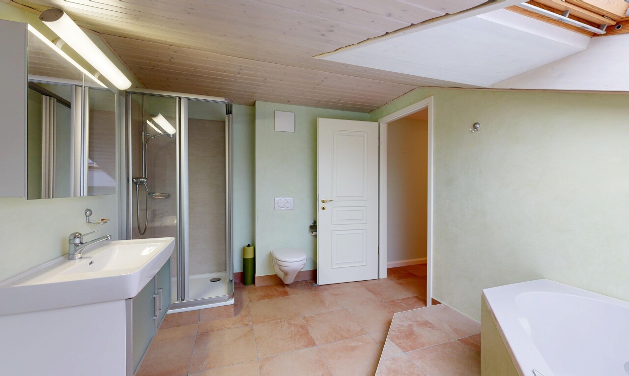salle de bains avec salle de bain complète, lavabo (ou coiffeuse selon le contexte), douche, miroir, et cloison sèche