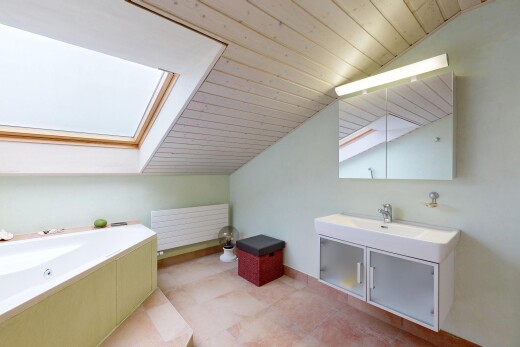 salle de bains avec puits de lumière, plafond voûté, vaulted ceiling, miroir, et inside property