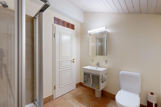 salle de bains avec miroir, cloison sèche, drywall, toilette, et douche