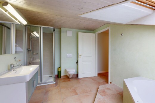 salle de bains avec salle de bain complète, lavabo (ou coiffeuse selon le contexte), douche, miroir, et cloison sèche