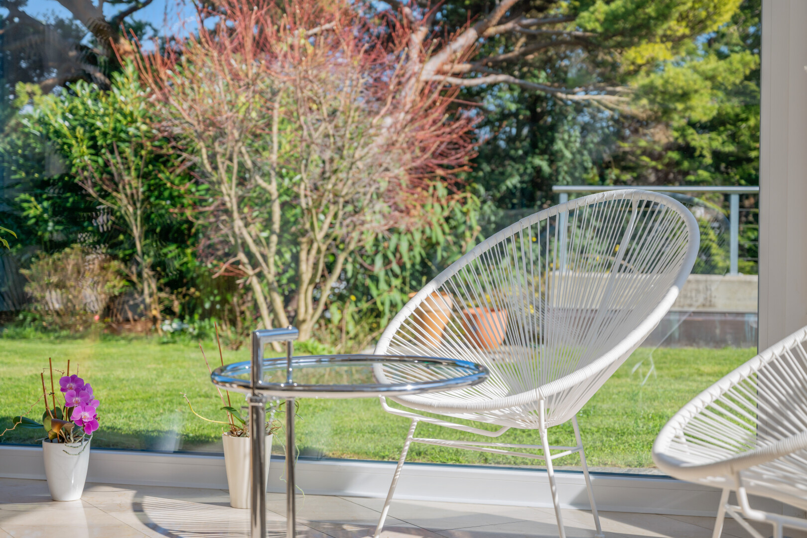 garten mit rasen