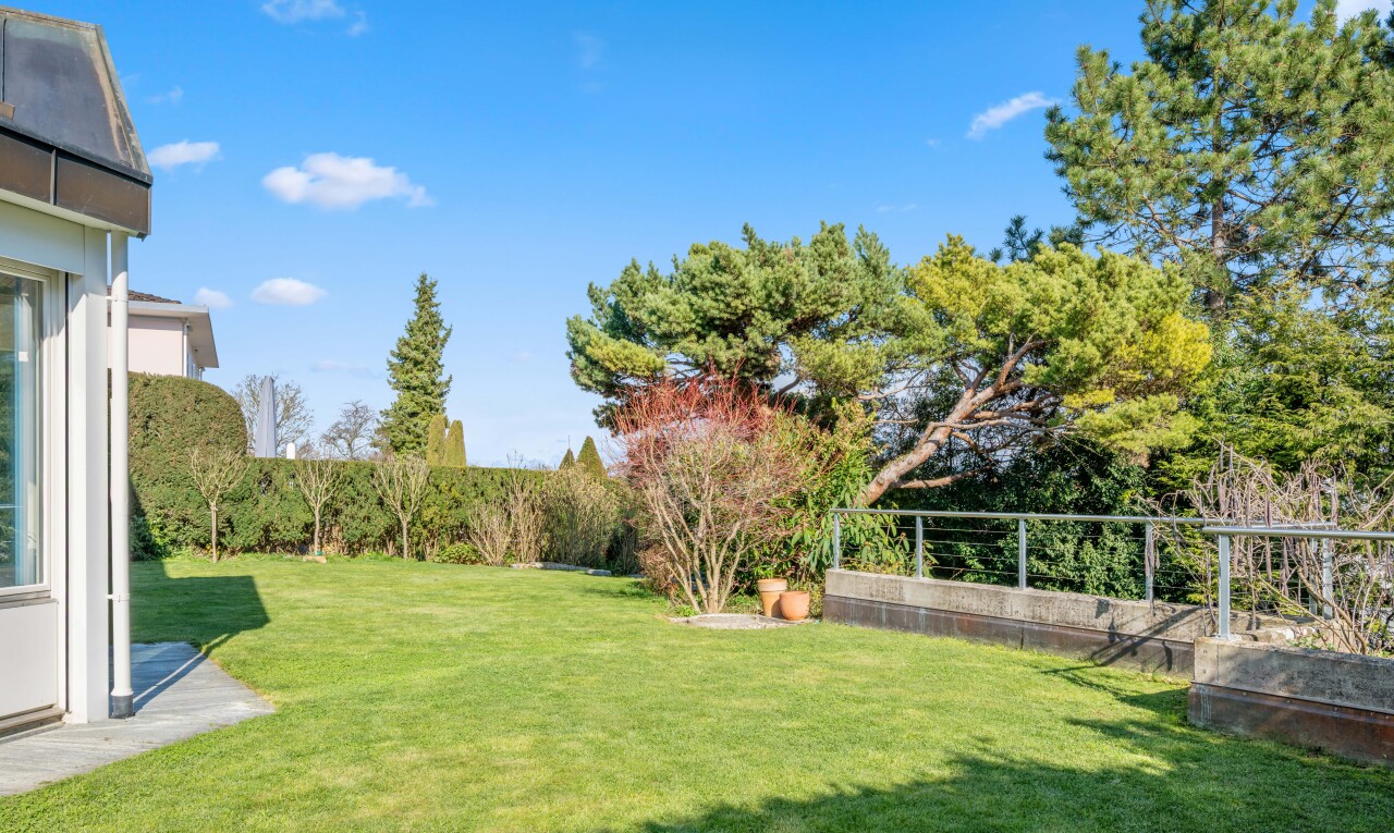 garten mit from property, rasen, zaun, und day time