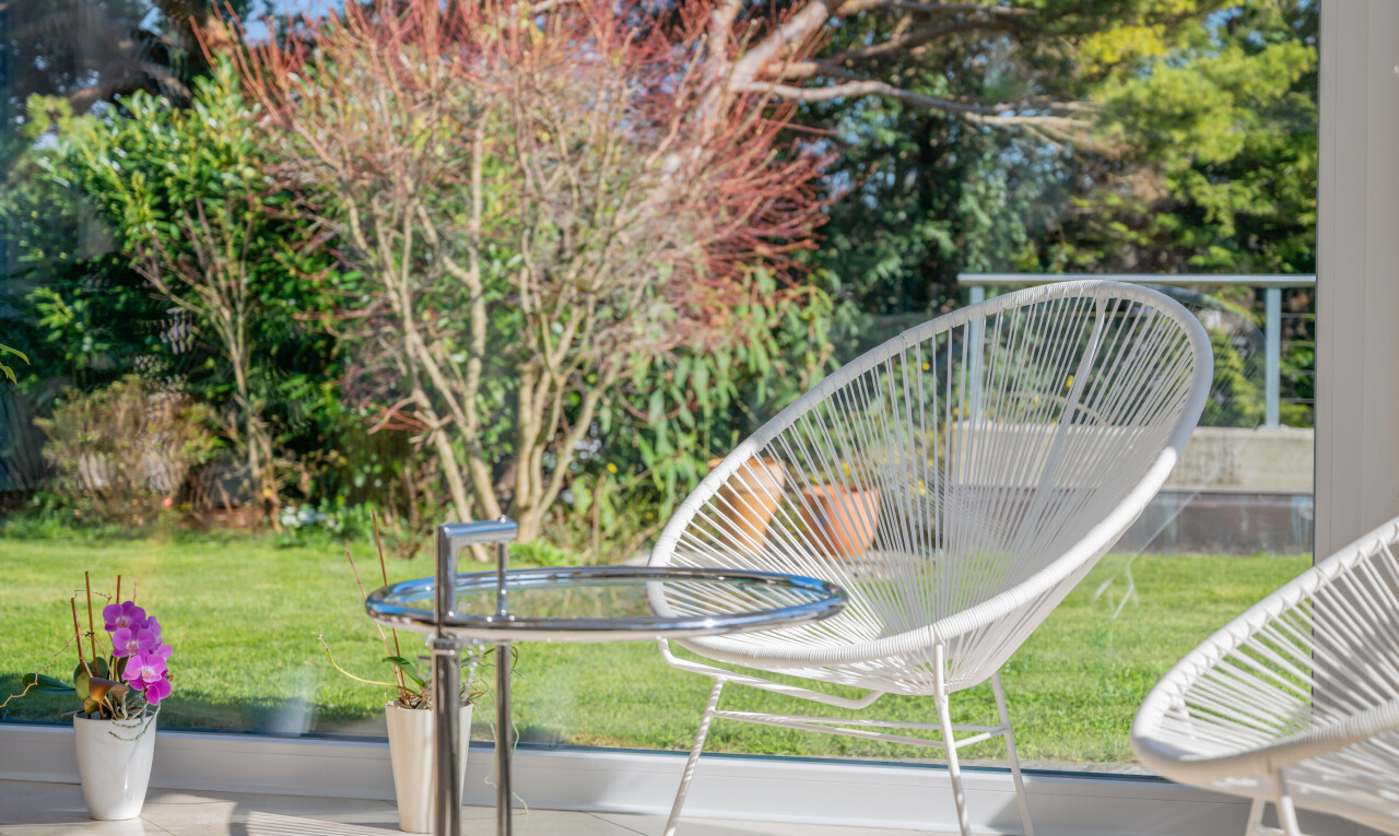 jardin avec pelouse